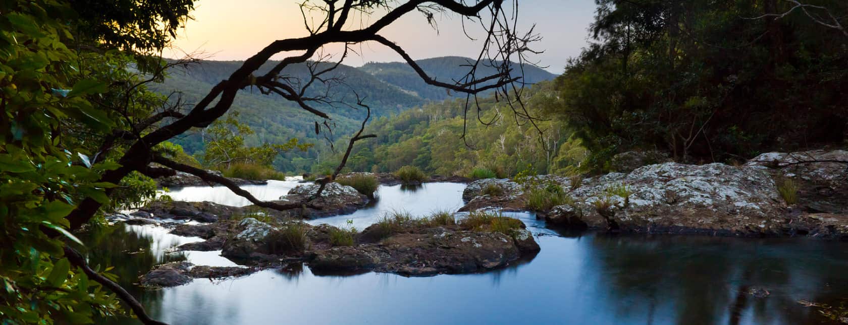 https://www.destinationgoldcoast.com/places-to-see/springbrook